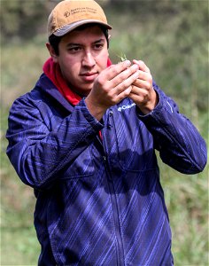 UT Entomology class field trip to Hornsby Bend Bird Observatory