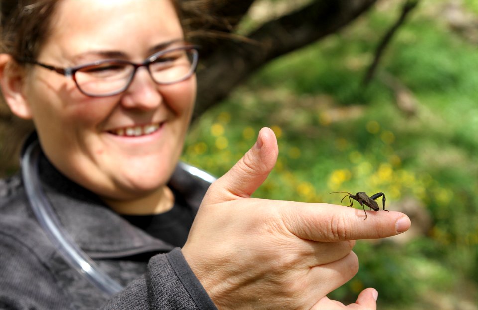 UT Entomology class field trip to Hornsby Bend Bird Observatory