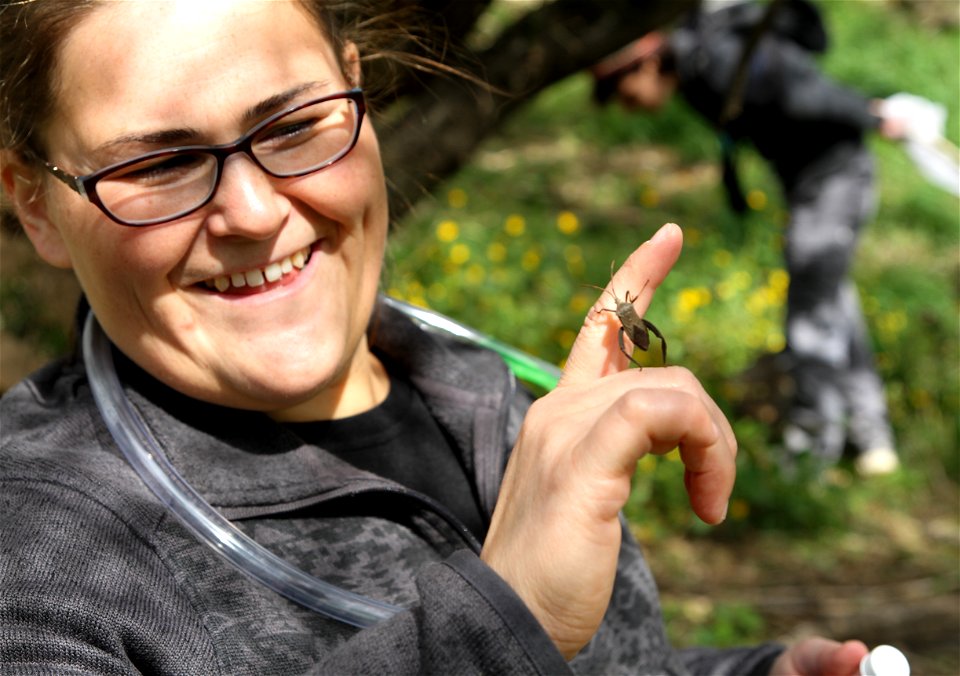 UT Entomology class field trip to Hornsby Bend Bird Observatory