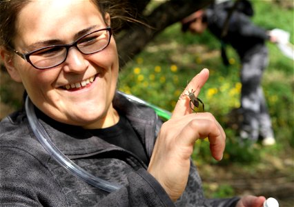 UT Entomology class field trip to Hornsby Bend Bird Observatory