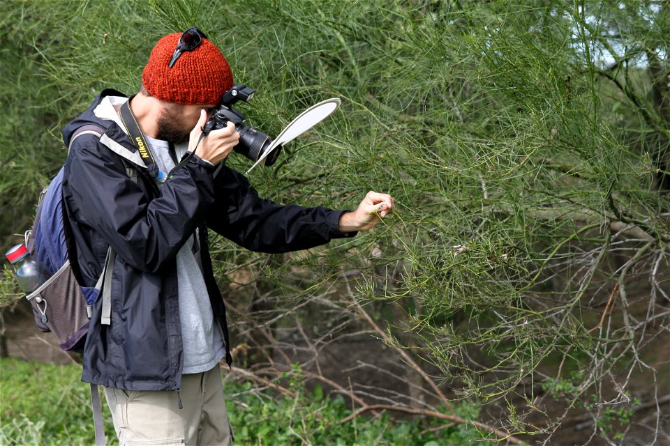 UT Entomology class field trip to Hornsby Bend Bird Observatory