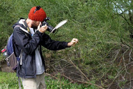 UT Entomology class field trip to Hornsby Bend Bird Observatory