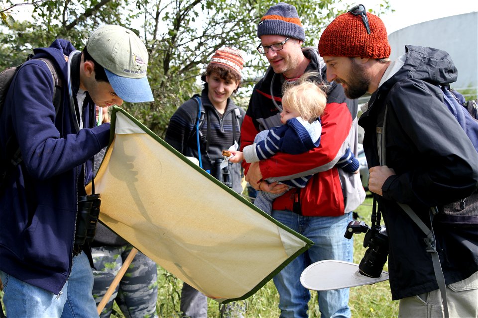 UT Entomology class field trip to Hornsby Bend Bird Observatory