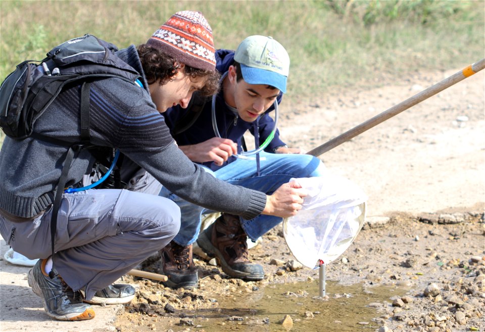 UT Entomology class field trip to Hornsby Bend Bird Observatory