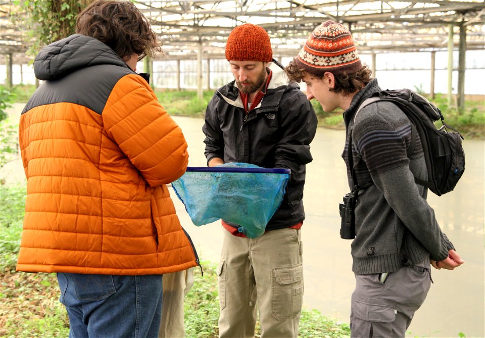 UT Entomology class field trip to Hornsby Bend Bird Observatory