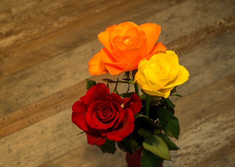 Nature love orange