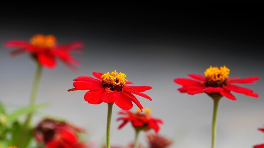 Nature beautiful korea