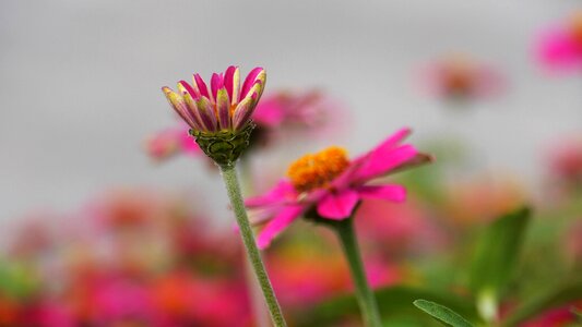 Nature beautiful korea