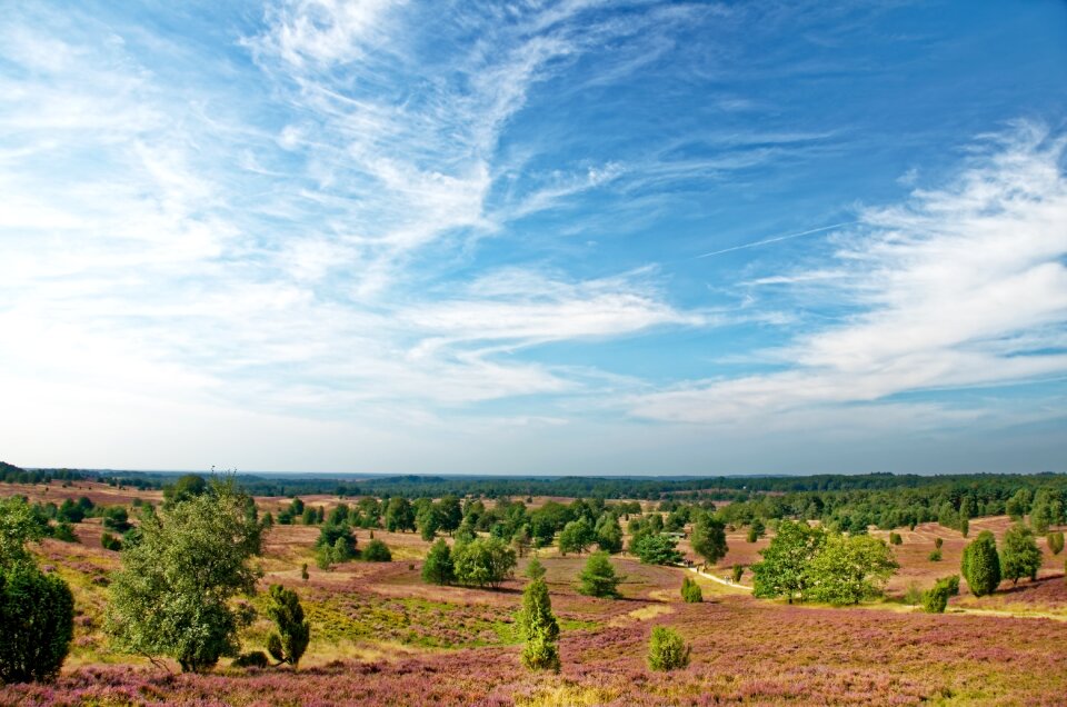 Heather nature nature reserve
