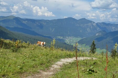 Landscape alpine heaven
