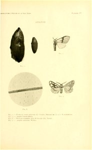 n160_w1150
