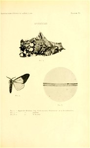 n172_w1150