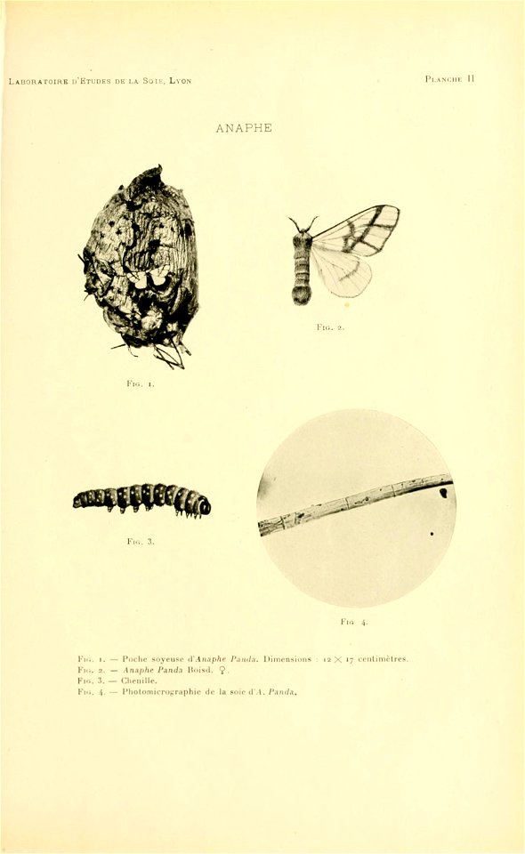 n156_w1150