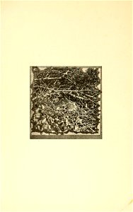 n221_w1150