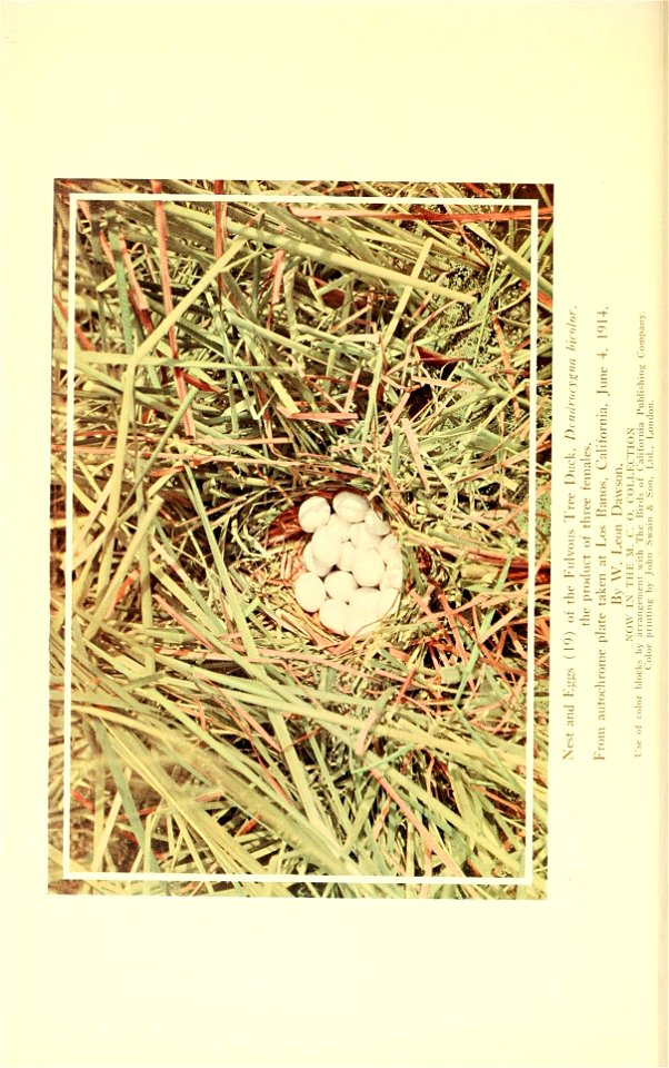 n147_w1150