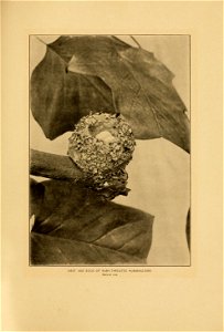 n284_w1150