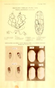 n216_w1150