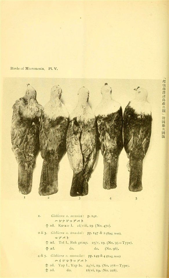 n317_w1150