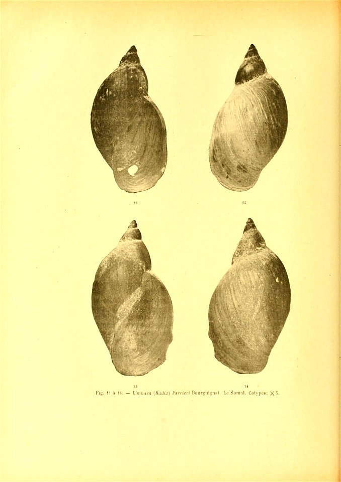 n149_w1150