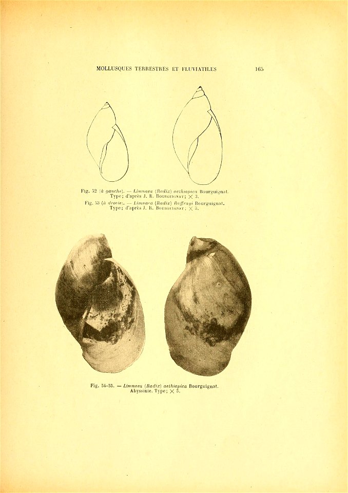 n182_w1150