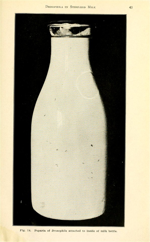 n44_w1150