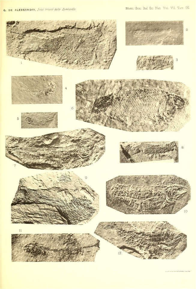 n196_w1150