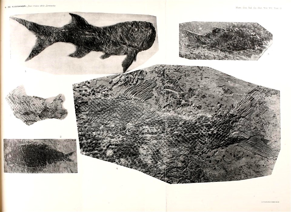 n164_w1150
