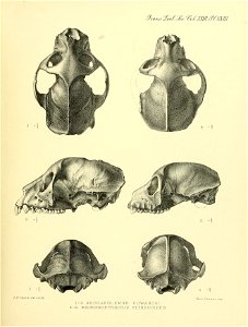 n270_w1150