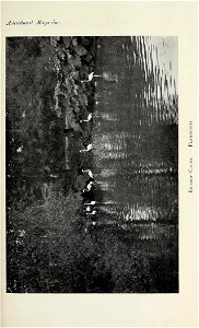 n368_w1150