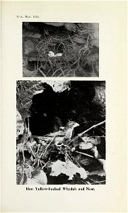 n318_w1150