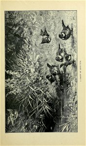 n28_w1150