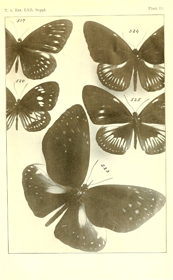 n434_w1150
