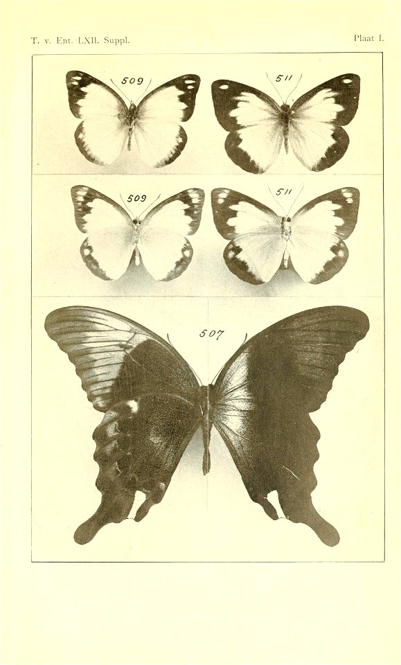 n430_w1150