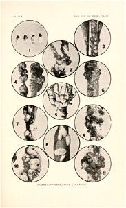 n112_w1150