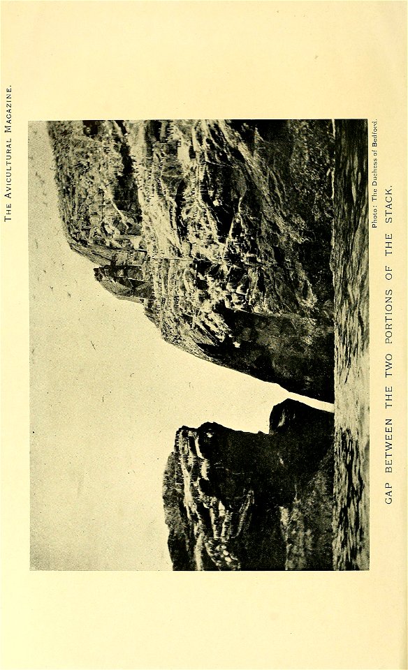 n335_w1150