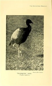 n291_w1150
