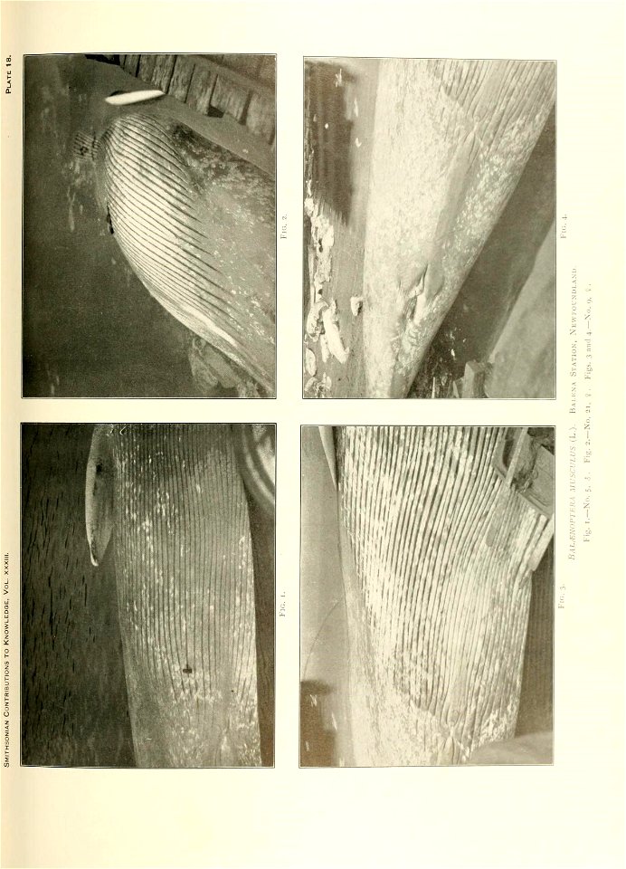 n392_w1150