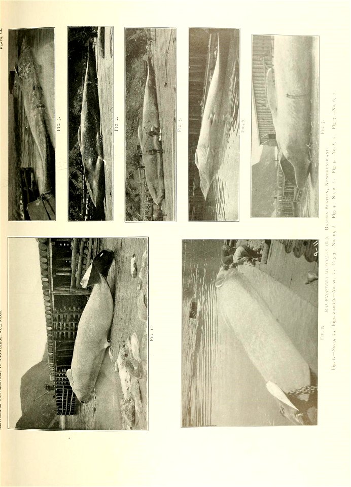n384_w1150