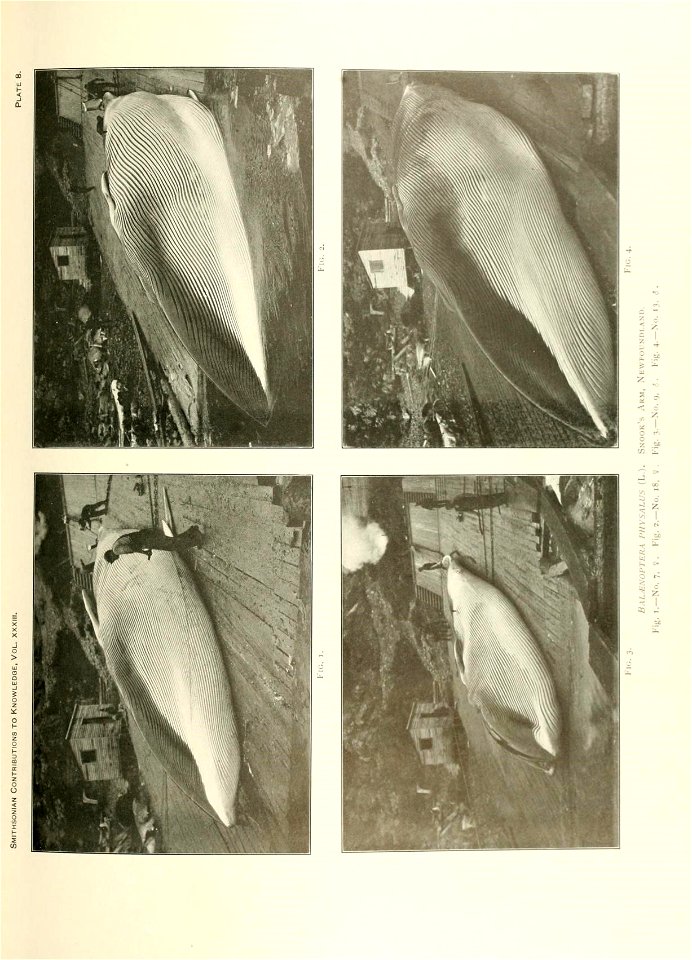 n372_w1150