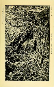n506_w1150