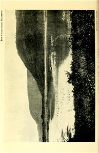 n479_w1150