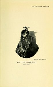 n438_w1150