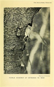 n362_w1150