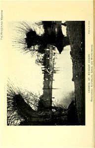 n329_w1150