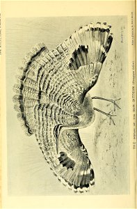 n193_w1150