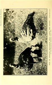 n453_w1150