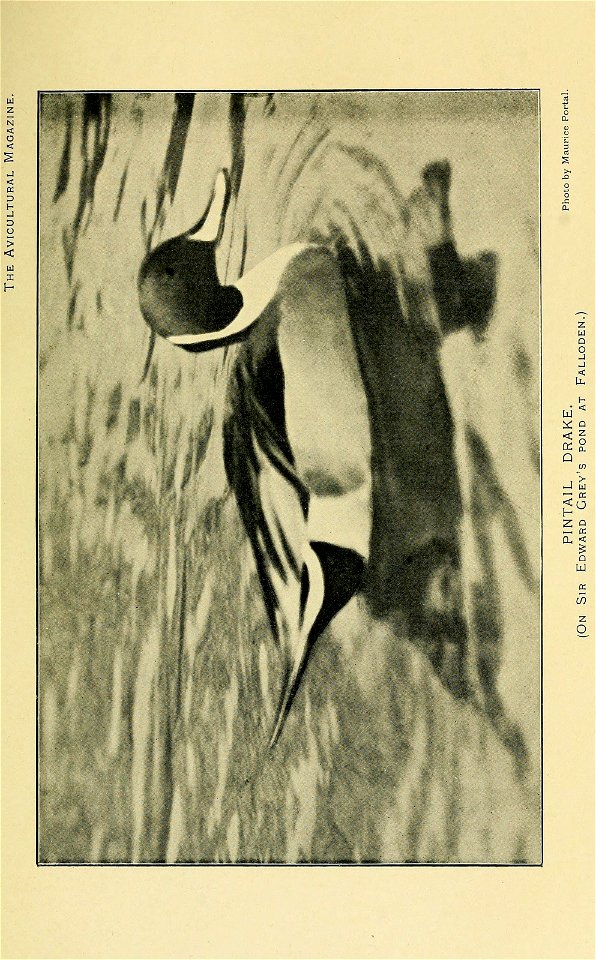n376_w1150
