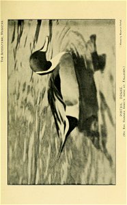 n376_w1150