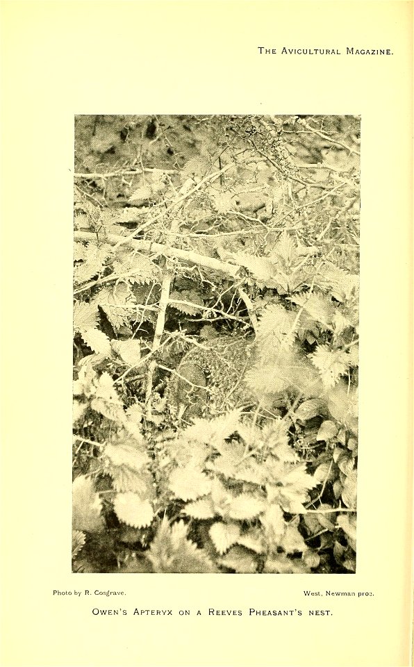 n331_w1150
