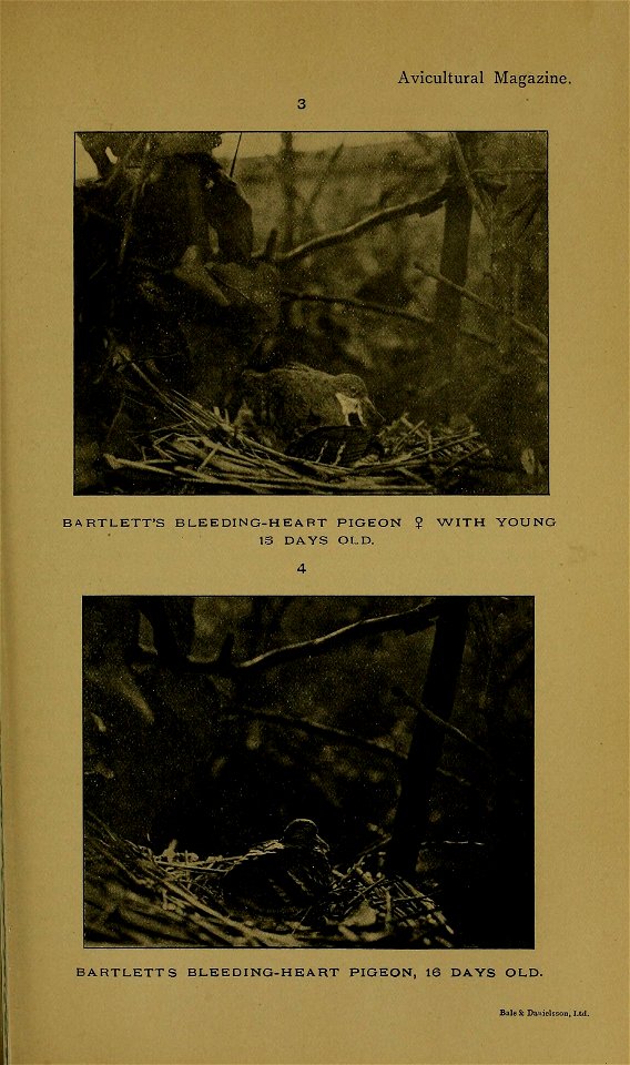 n318_w1150
